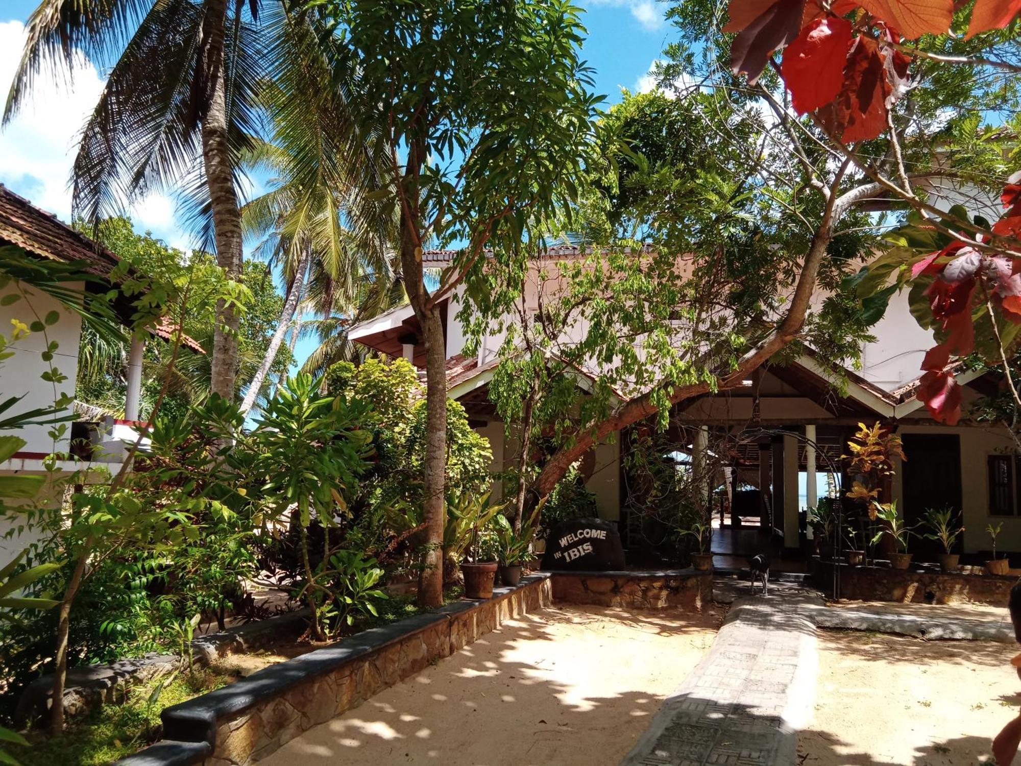Ibisbird Beach Bungalows, Sport, Spa And Restaurant تانجالي المظهر الخارجي الصورة
