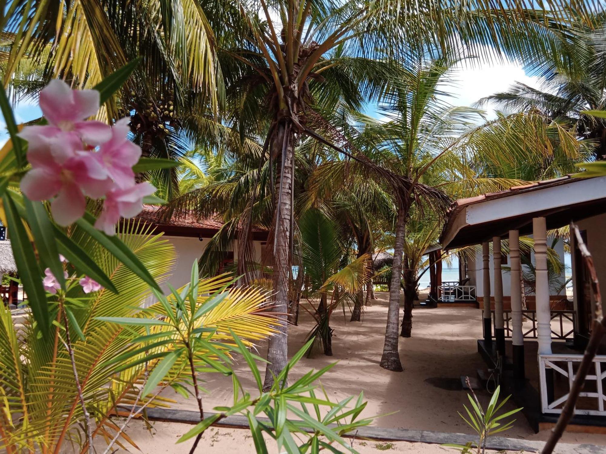 Ibisbird Beach Bungalows, Sport, Spa And Restaurant تانجالي المظهر الخارجي الصورة